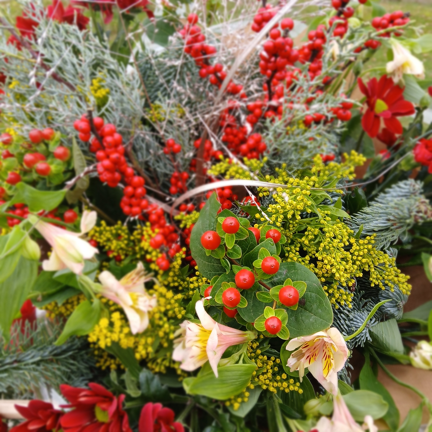 Christmas fairy tale