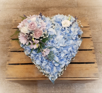 Pale blue Hydrangea heart