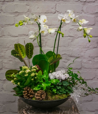 Luxury Orchid Planter