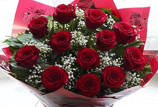 12 red roses