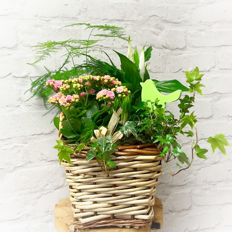 Basket planter medium