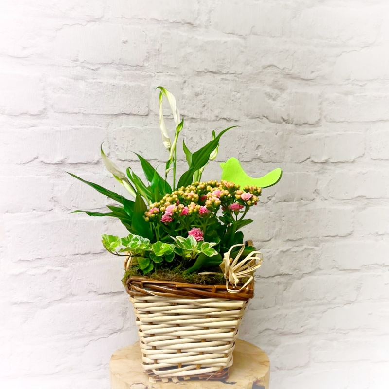 Basket planter small