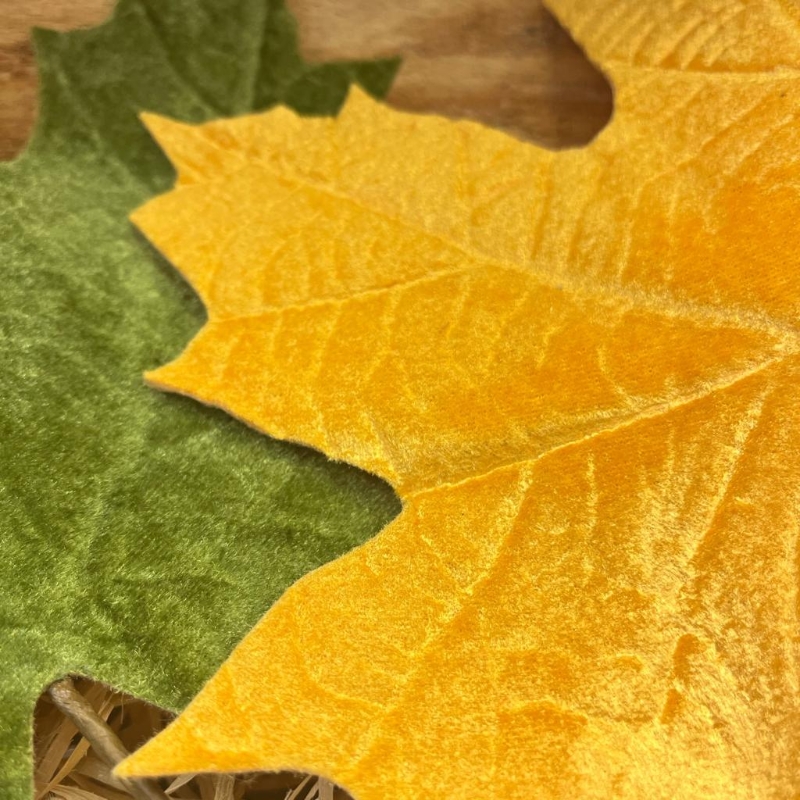 Large velvet feel leaves